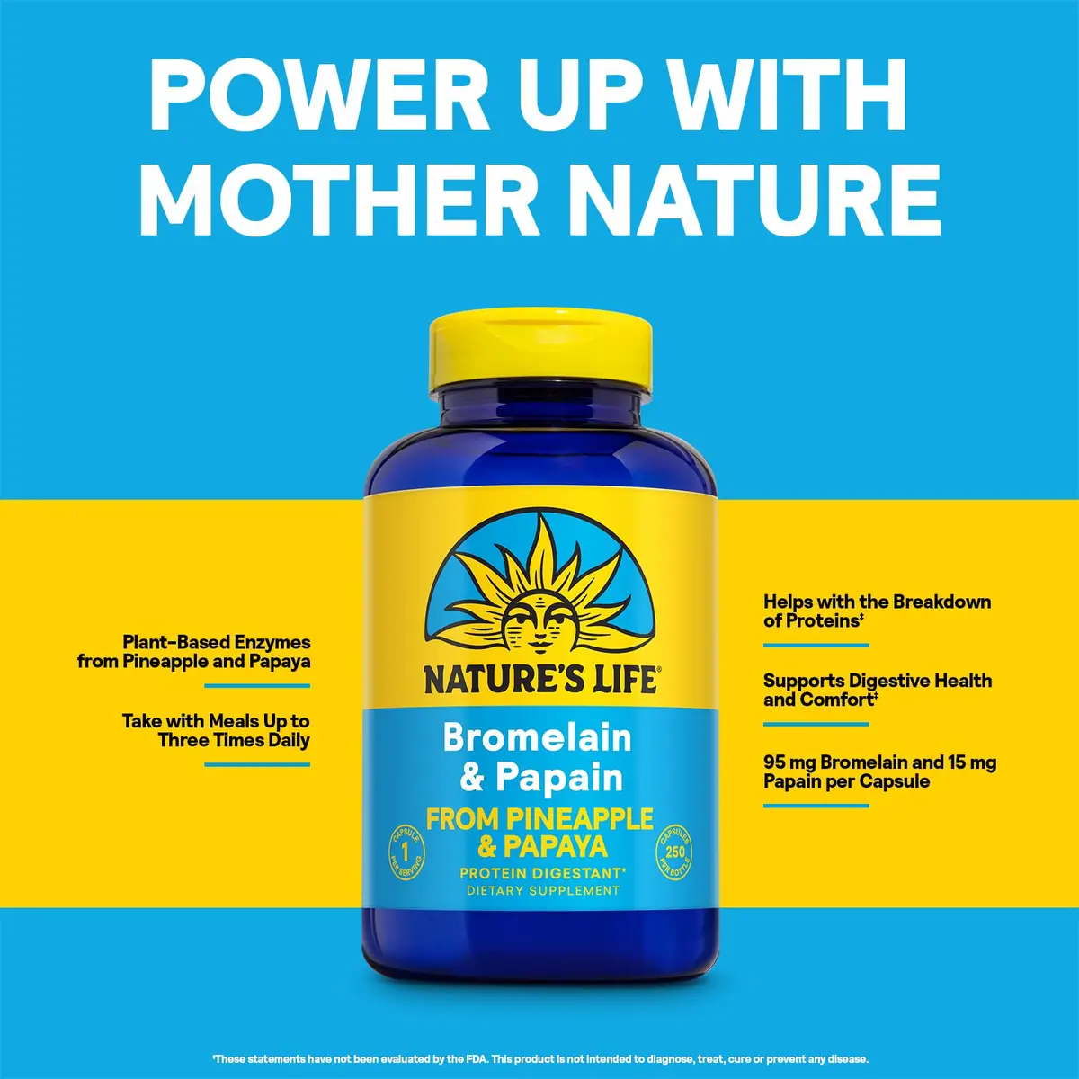 Nature's Life Bromelain & Papain Proteolytic Enzyme Supplement 250 Capsules | Digestive Support with Plant-Based Enzymes - view 4