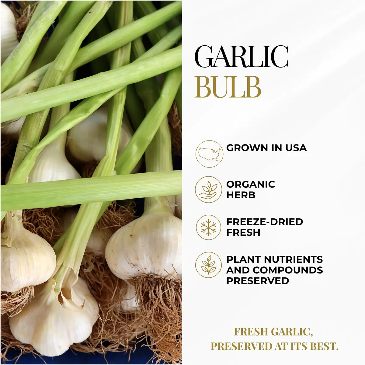 ECLECTIC INSTITUTE Garlic Capsules 90 CT | Heart & Immune Support, US-Imported - view 5