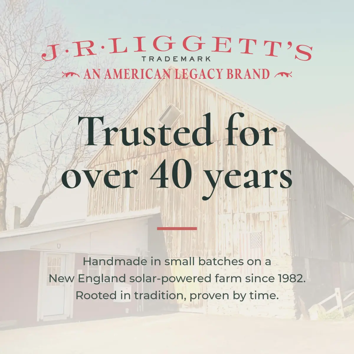 J·R·LIGGETT'S Natural Shampoo Bar 3.5 oz (1-pack) | Moisturizing Hair Formula for Dry, Damaged Hair - view 8
