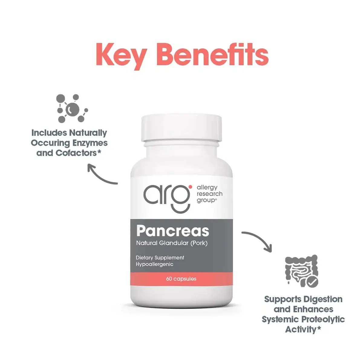 Allergy Research Group Pancreas Pork, Freeze Dried Digestive, 60 Count | Supports Digestive Enzymes & Glandular Bioactivity - view 5
