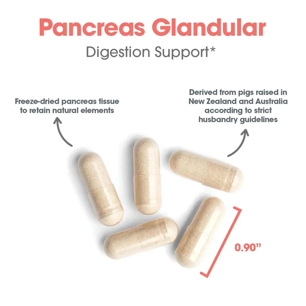 Allergy Research Group Pancreas Pork, Freeze Dried Digestive, 60 Count | Supports Digestive Enzymes & Glandular Bioactivity - view 4