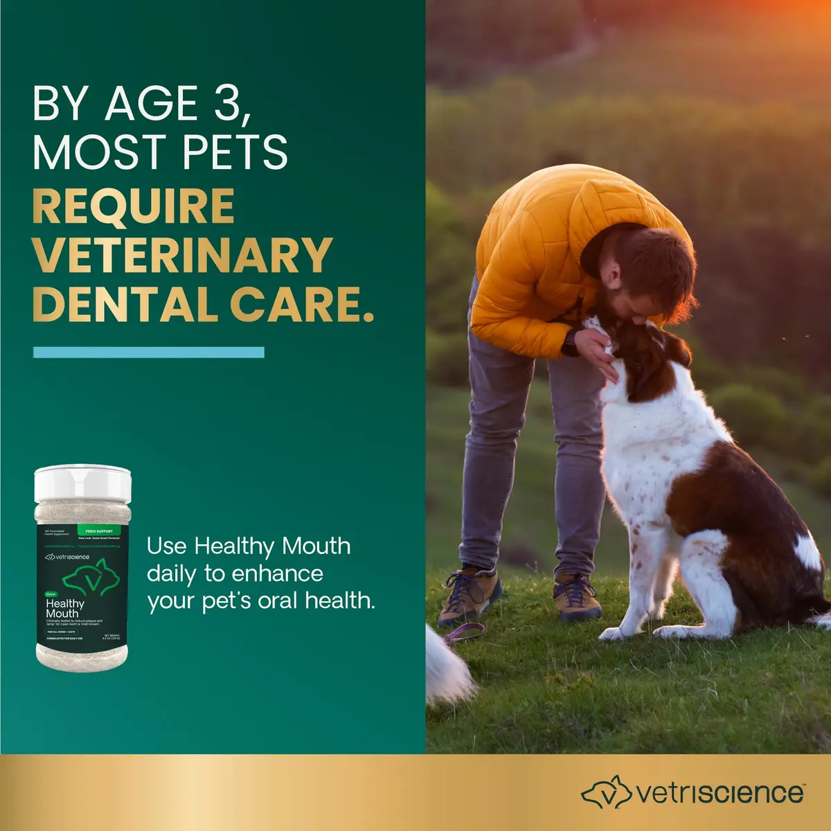 VetriScience Dental Care Powder for Dogs and Cats 4.2 Oz | No-Brush Oral Hygiene Support - view 3