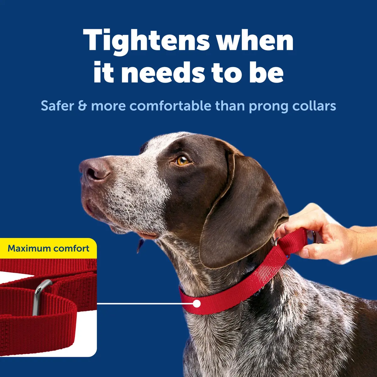 PetSafe Martingale Dog Collar, Red, 3/4 in, Small | Safe, Durable Nylon, Vet & Trainer Recommended - view 3