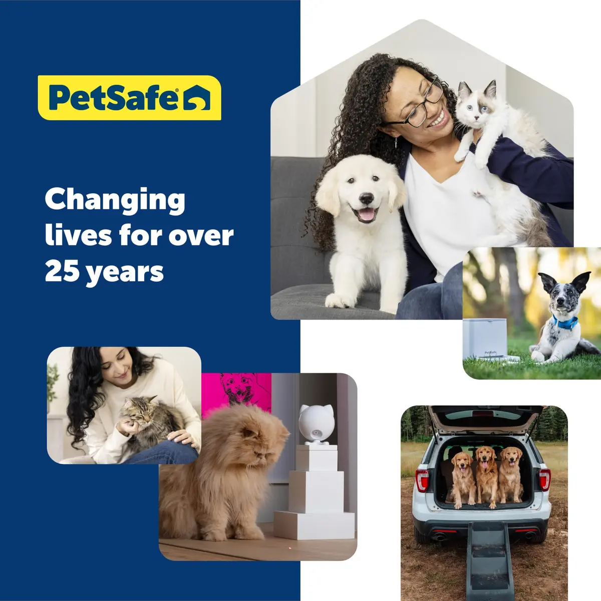 PetSafe Martingale Dog Collar, Black, 3/4 in, Small | Safer Control & Escape Prevention - view 3