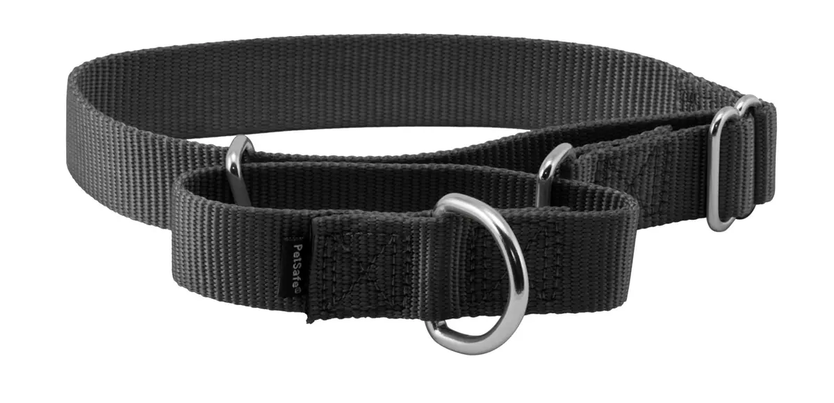 PetSafe Martingale Dog Collar, 1 in, Medium | Safe, Durable Nylon, US-Recommended Fit - main product image