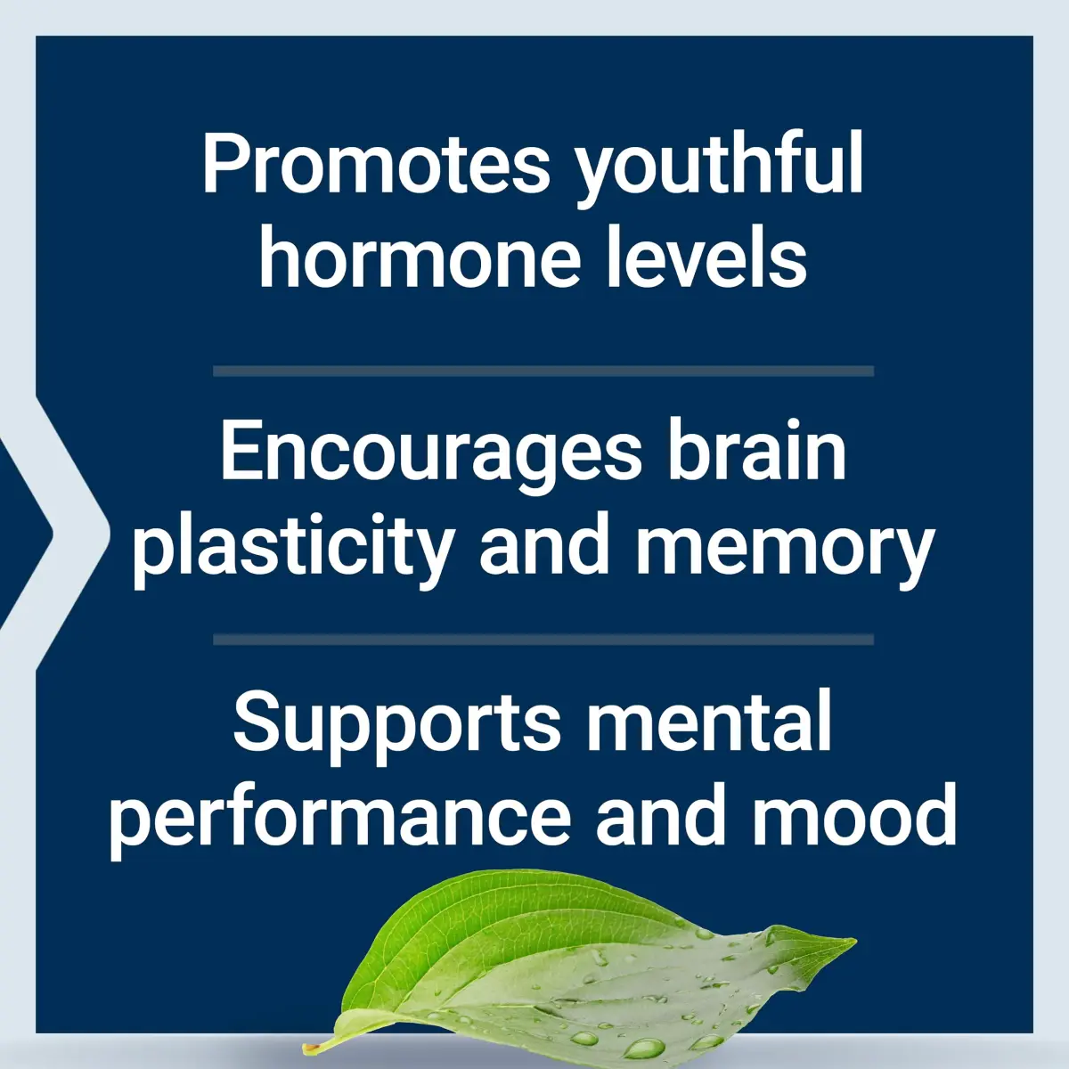 Life Extension Pregnenolone Hormone Balance Supplement 100 mg (100 Count) | Supports Cognitive Health & Mood - view 4