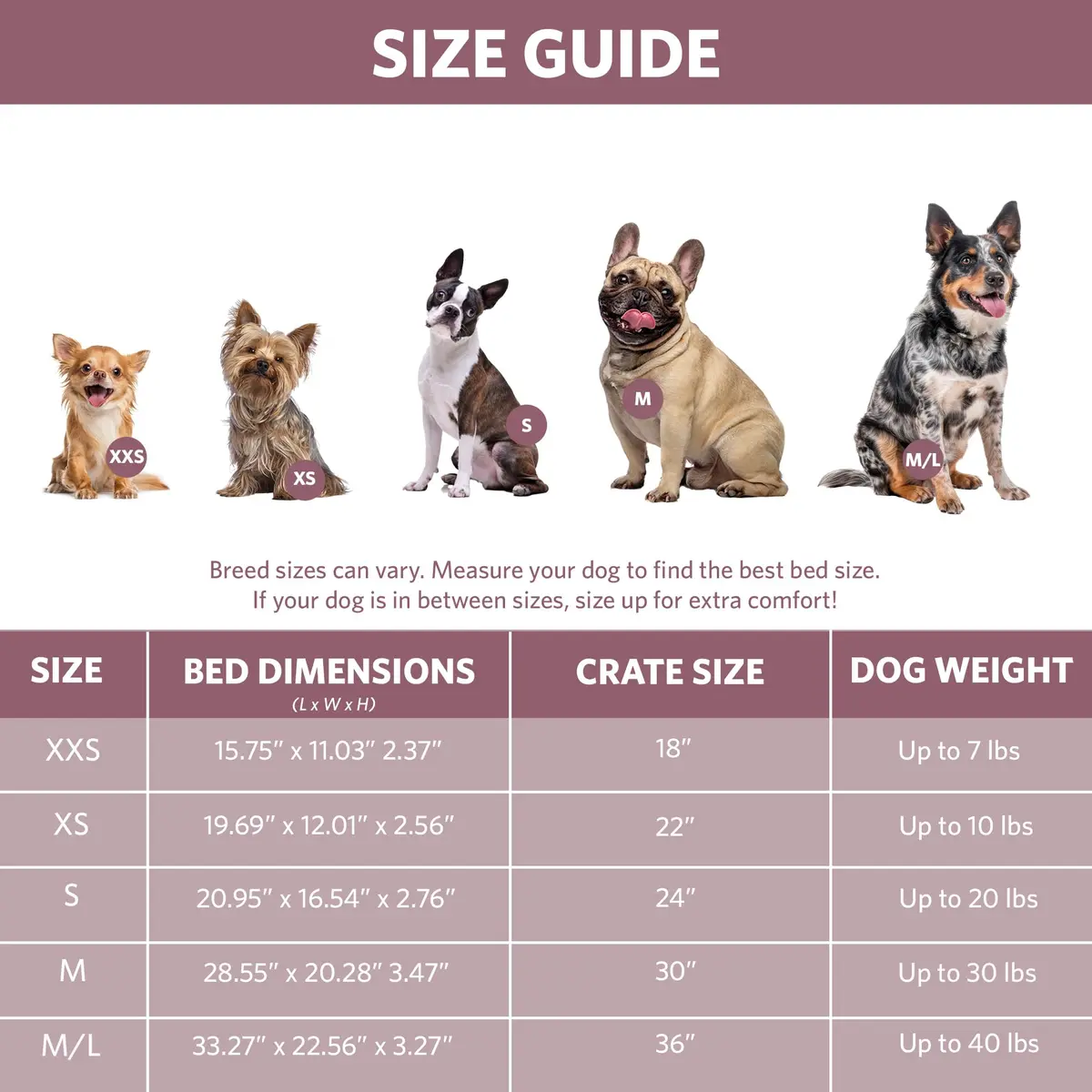 QuietTime by MidWest Bolster Dog Crate Bed Medium 30-Inch 73cm x 51cm x 9cm Fashion Pink | Cozy All-Season Comfort - view 6