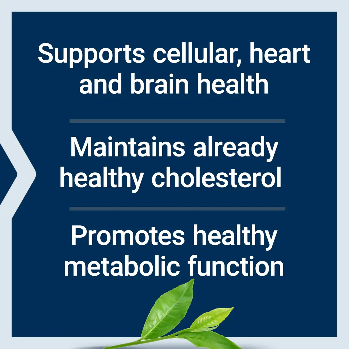 Life Extension Lightly Caffeinated Mega Green Tea Extract, 100 Capsules | Supports Cellular & Heart Health - view 4