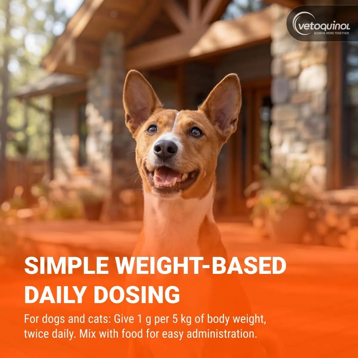 Vetoquinol Epakitin Phosphate Binder for Cats and Dogs | Supports Kidney Health, 300 g - view 5