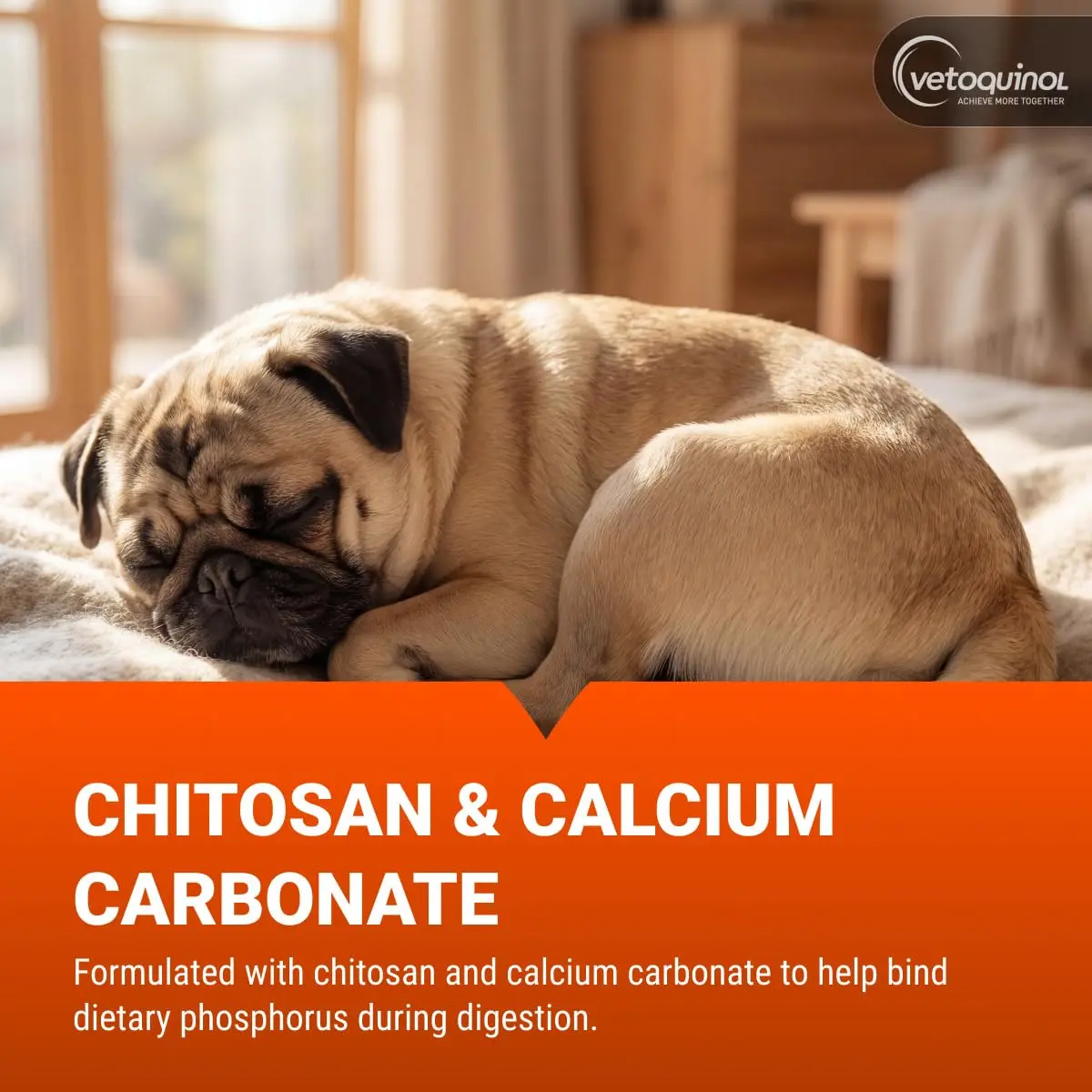 Vetoquinol Epakitin Phosphate Binder for Cats and Dogs | Supports Kidney Health, 300 g - view 4