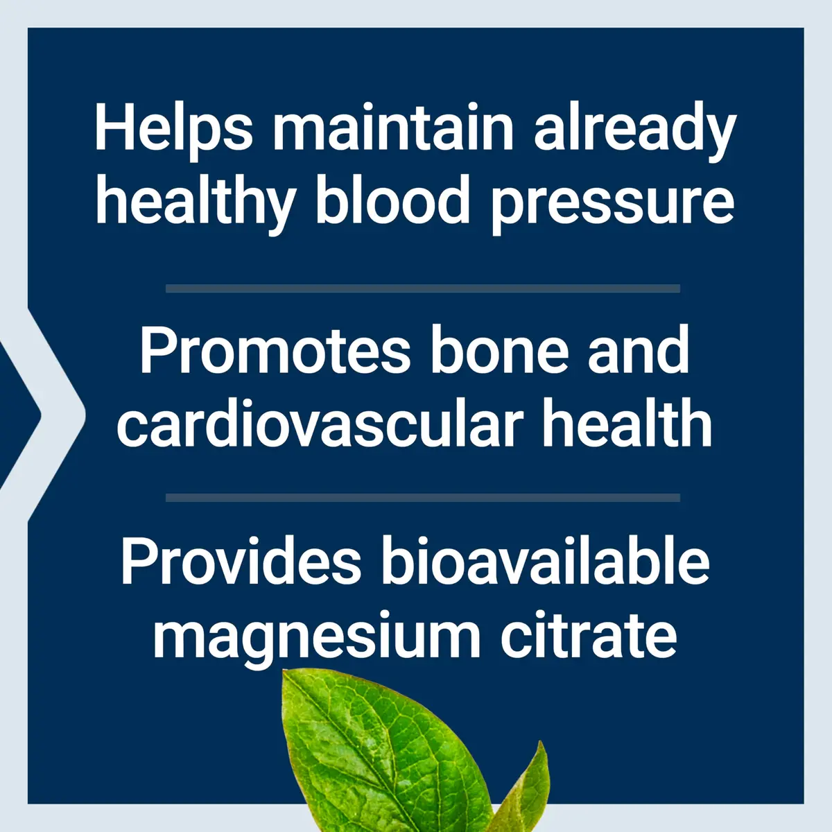 Life Extension Magnesium Citrate, 100 mg, Heart & Bone Support, 100 Capsules - view 3