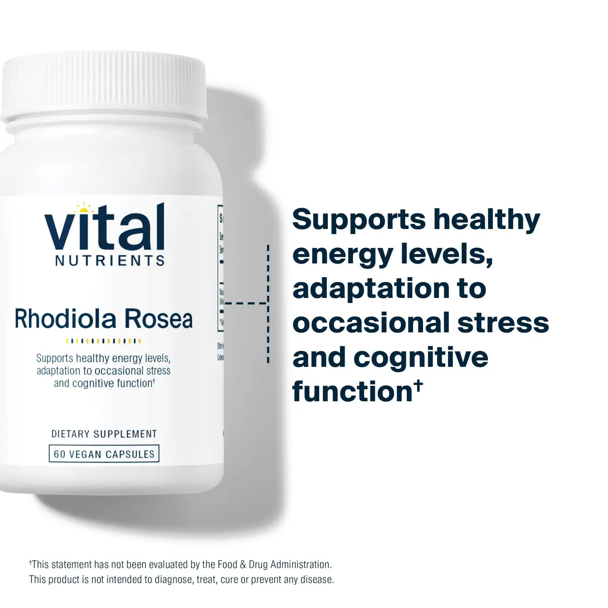 Vital Nutrients Rhodiola Rosea 60 Capsules | Adaptogenic Herb for Energy & Stress Support - view 5