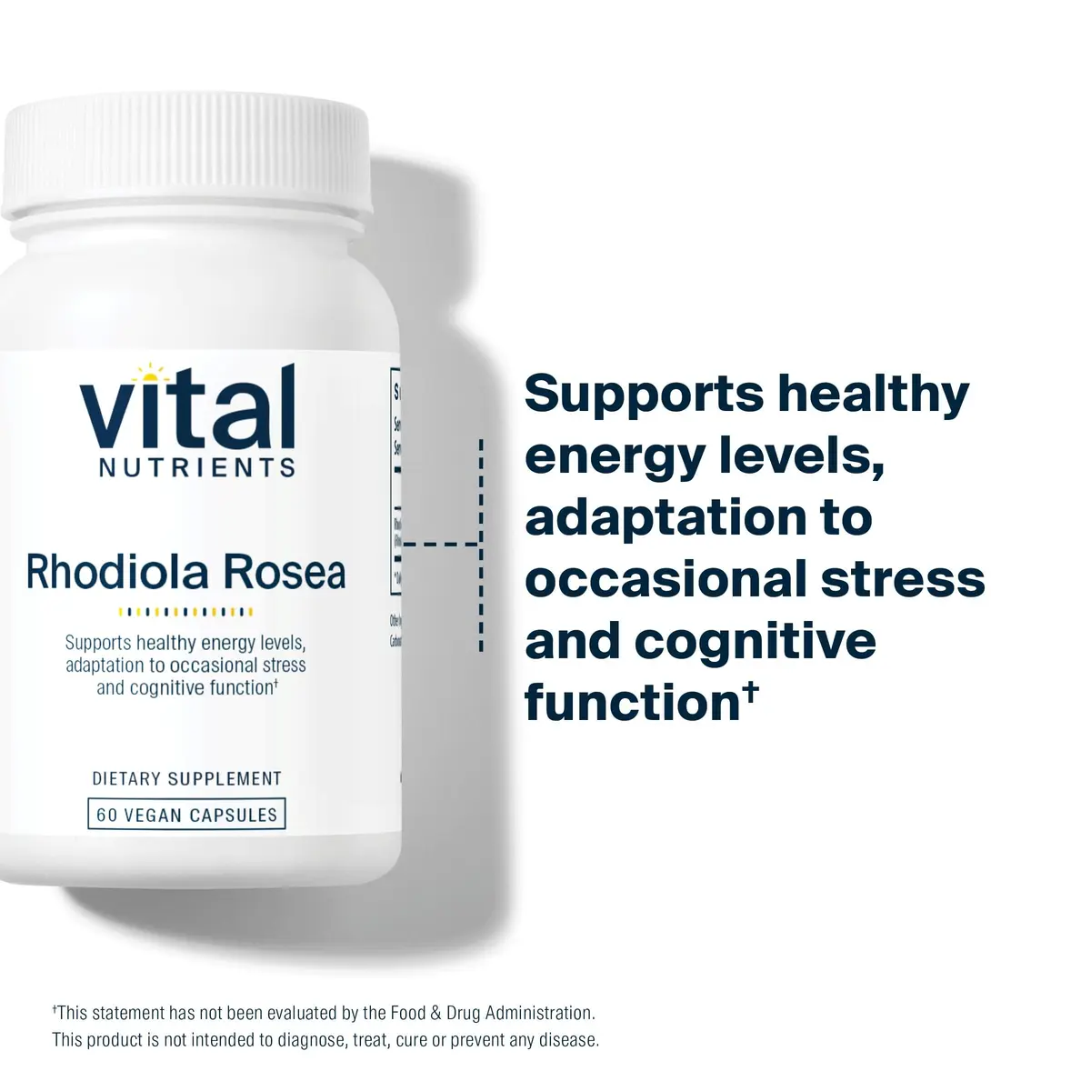 Vital Nutrients Rhodiola Rosea 60 Capsules | Adaptogenic Herb for Energy & Stress Support - view 6