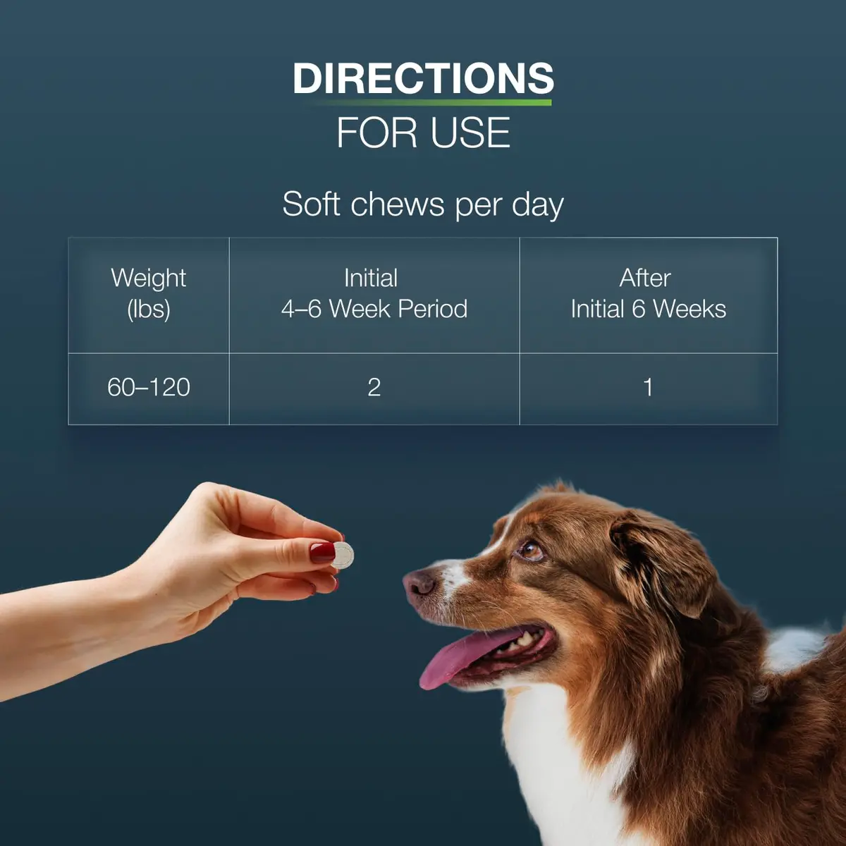 Nutramax Dasuquin Large Dog Joint Supplement Chewable Tablets 150ct (680g) | Vet Recommended for Joint Health - view 9