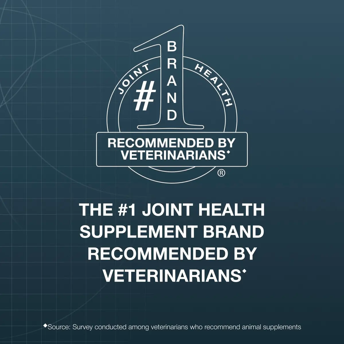 Nutramax Dasuquin Large Dog Joint Supplement Chewable Tablets 150ct (680g) | Vet Recommended for Joint Health - view 2