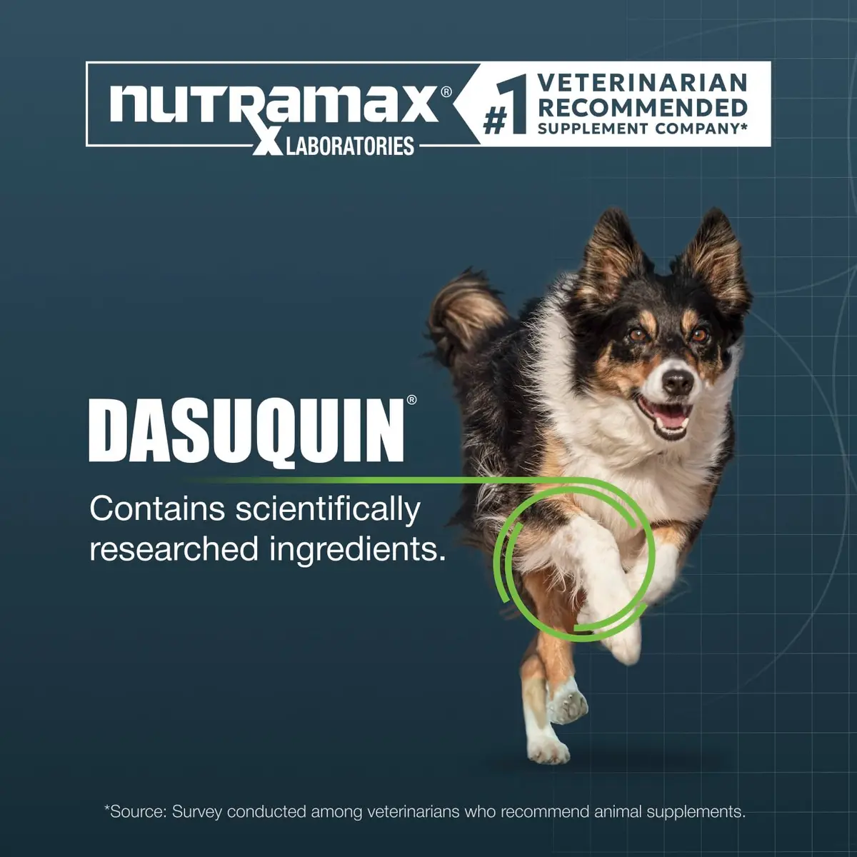 Nutramax Dasuquin Large Dog Joint Supplement Chewable Tablets 150ct (680g) | Vet Recommended for Joint Health - view 3