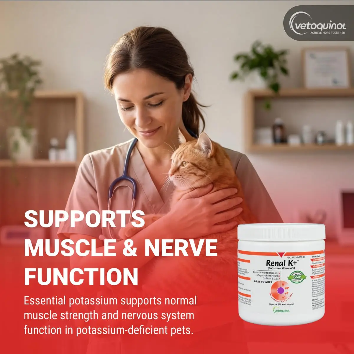 Vetoquinol Renal K, Potassium Powder for Dogs and Cats, 3.5 oz | Supports Kidney & Muscle Health - view 3