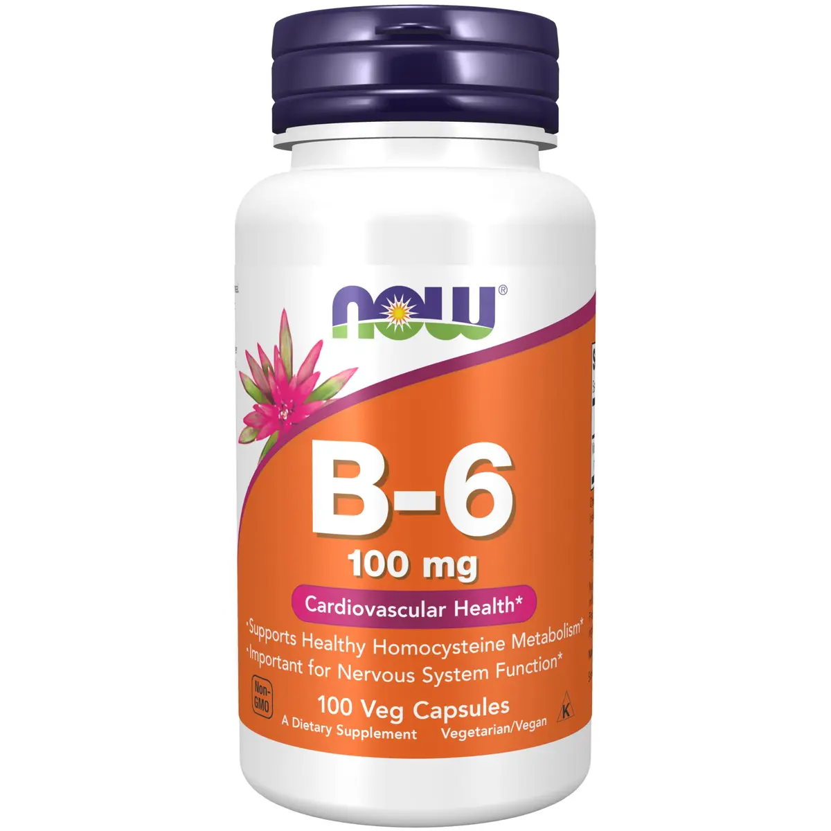 Now Foods B-6 100mg 100 Capsules | Supports Nervous System & Metabolism - main product image