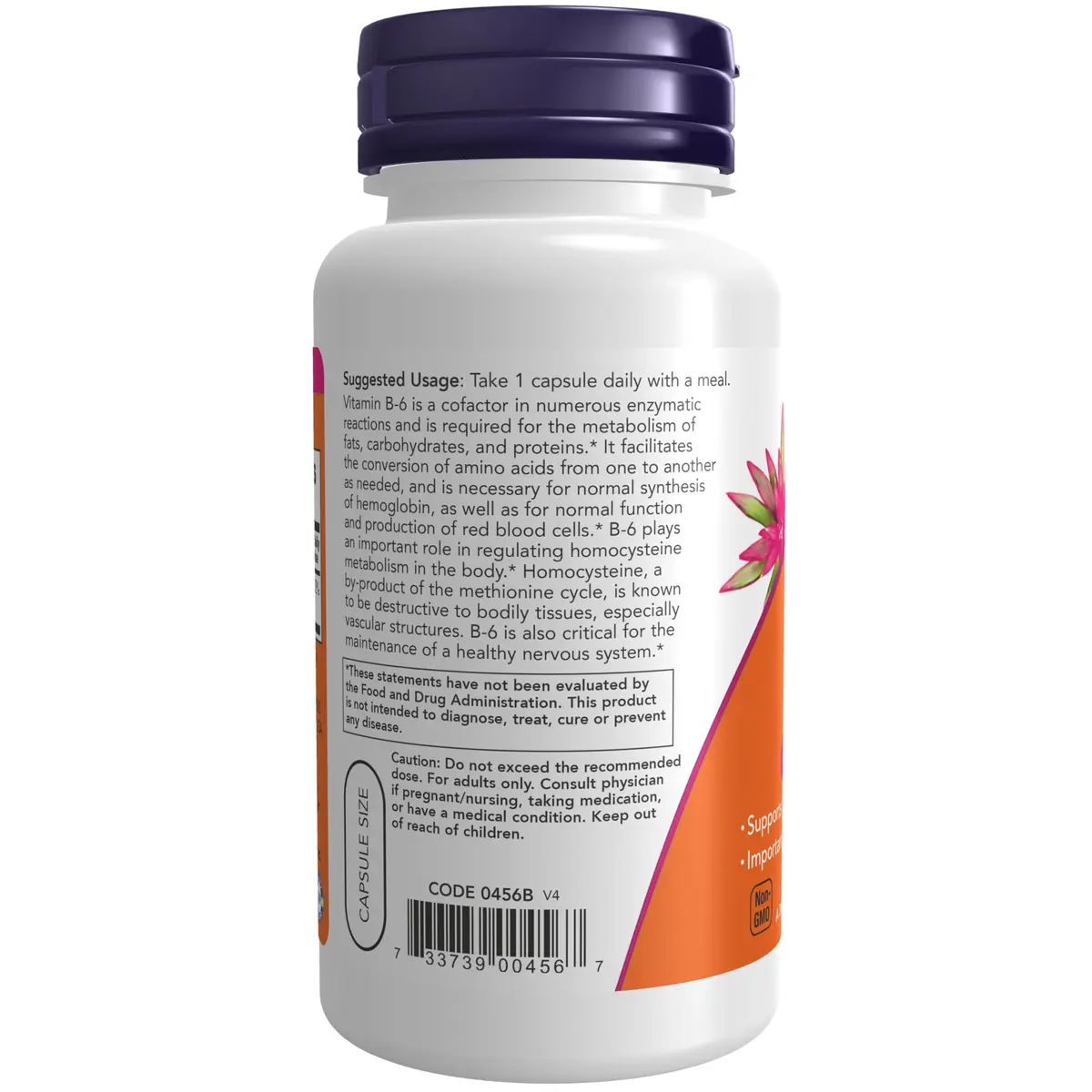 Now Foods B-6 100mg 100 Capsules | Supports Nervous System & Metabolism - view 3