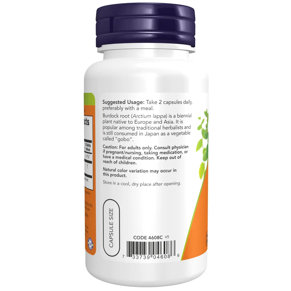 NOW Foods Burdock Root Herbal Supplement 430 mg 100 Veg Capsules | Traditional Herbalist Use - view 3
