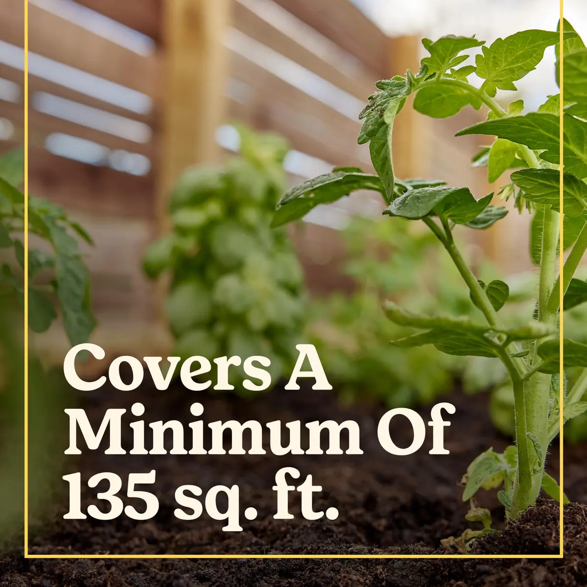 Miracle-Gro Shake 'N Feed Citrus, Avocado, Mango Plant Food | Fertilizer for In-Ground & Container Plants, 4.5 lbs - view 3