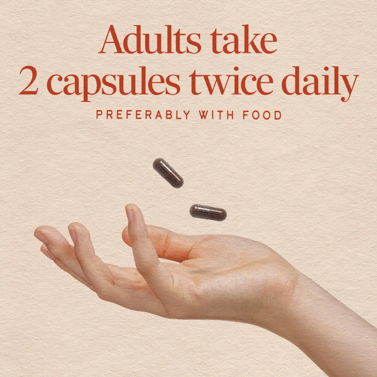 Nature's Way Black Elderberry Capsules - 100 Count Pack of 12 | Vegan Immune Support - view 5