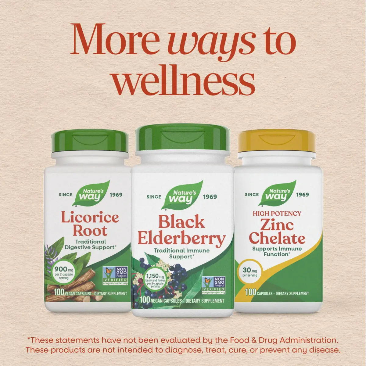 Nature's Way Black Elderberry Capsules - 100 Count Pack of 12 | Vegan Immune Support - view 8