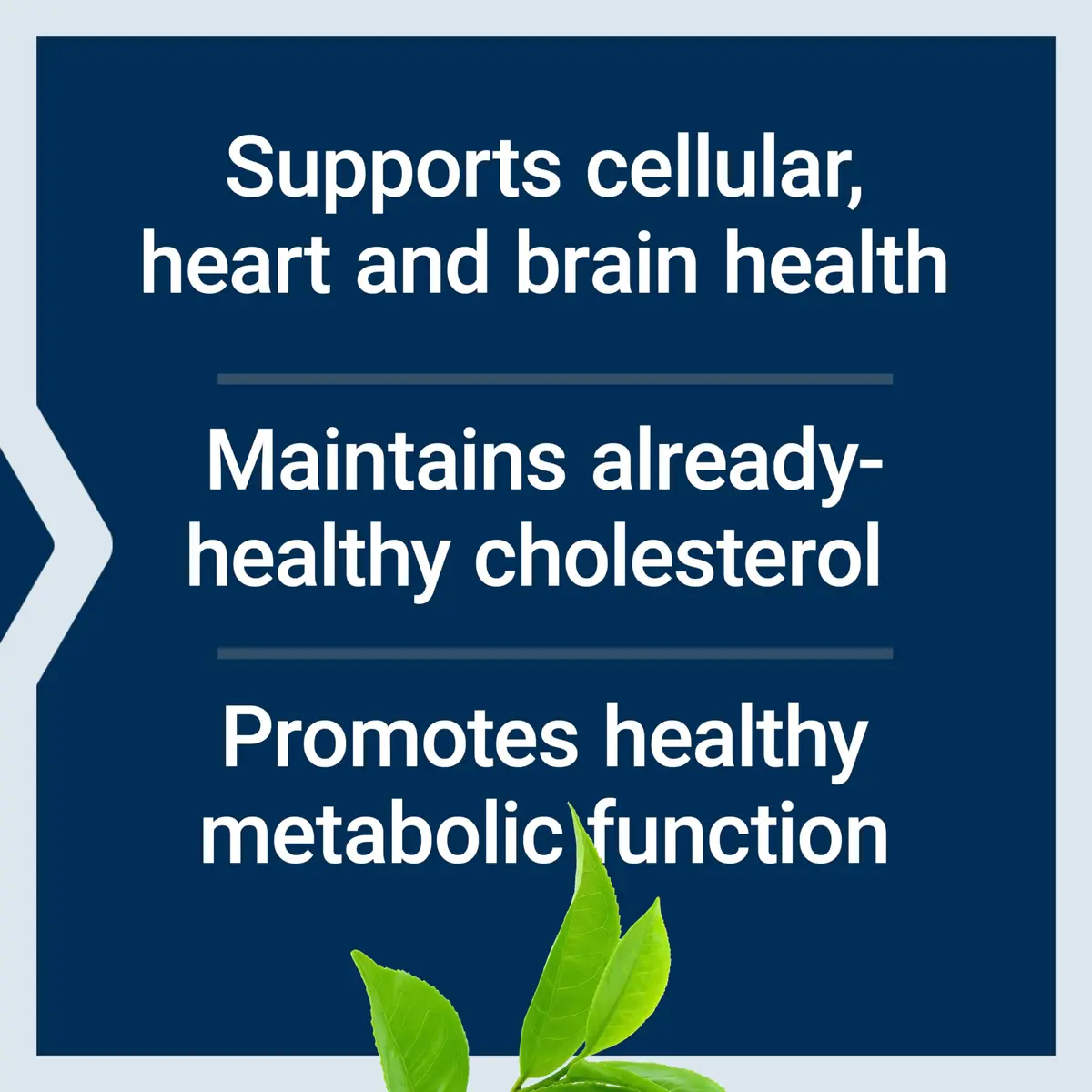 Life Extension Decaffeinated Mega Green Tea Extract, 100 Capsules | Supports Heart, Brain & Cellular Health - view 4