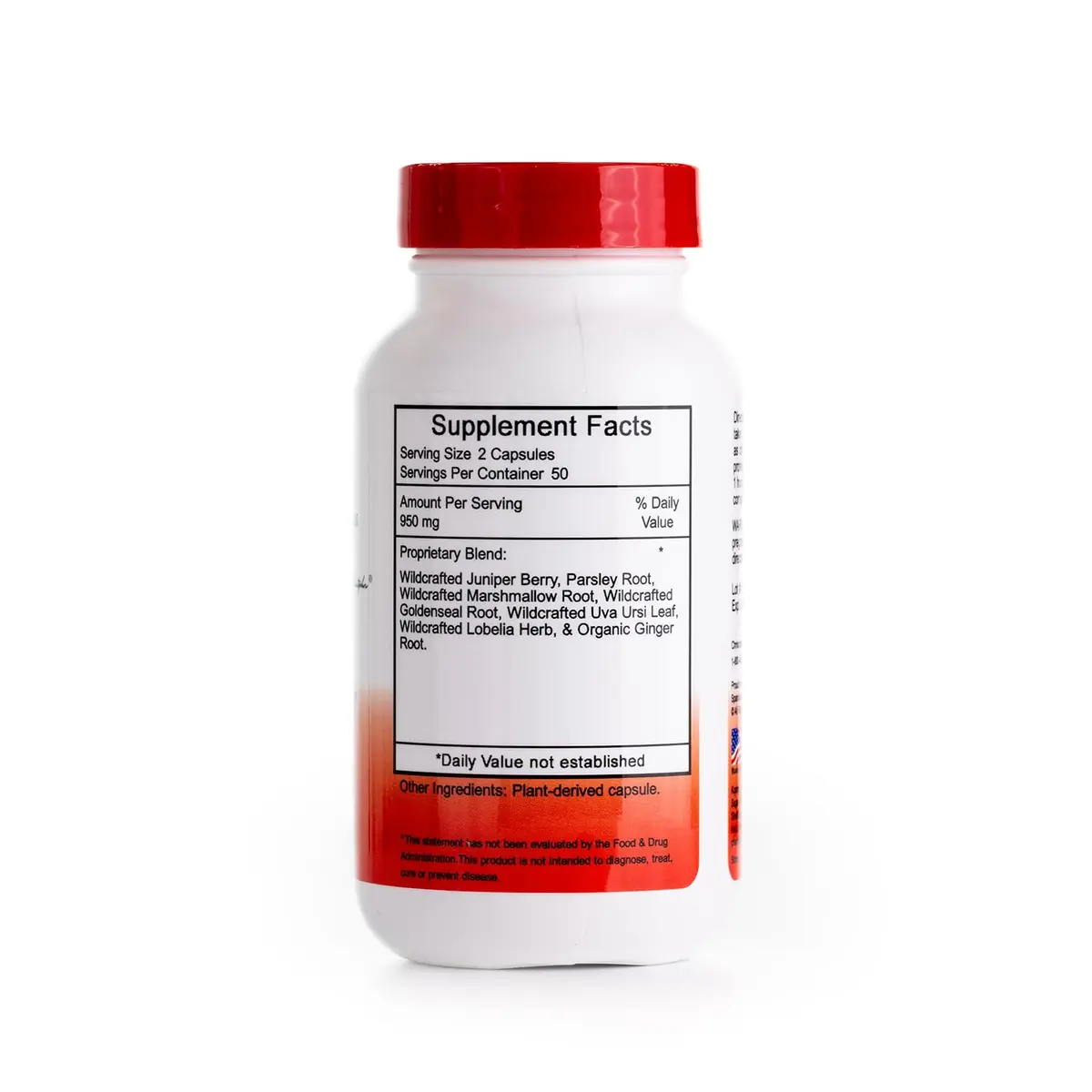 Christopher's Original Formulas Kidney Formula - Kidney Support Capsules 100 Count | Detox & Repair Herbal Blend - view 2