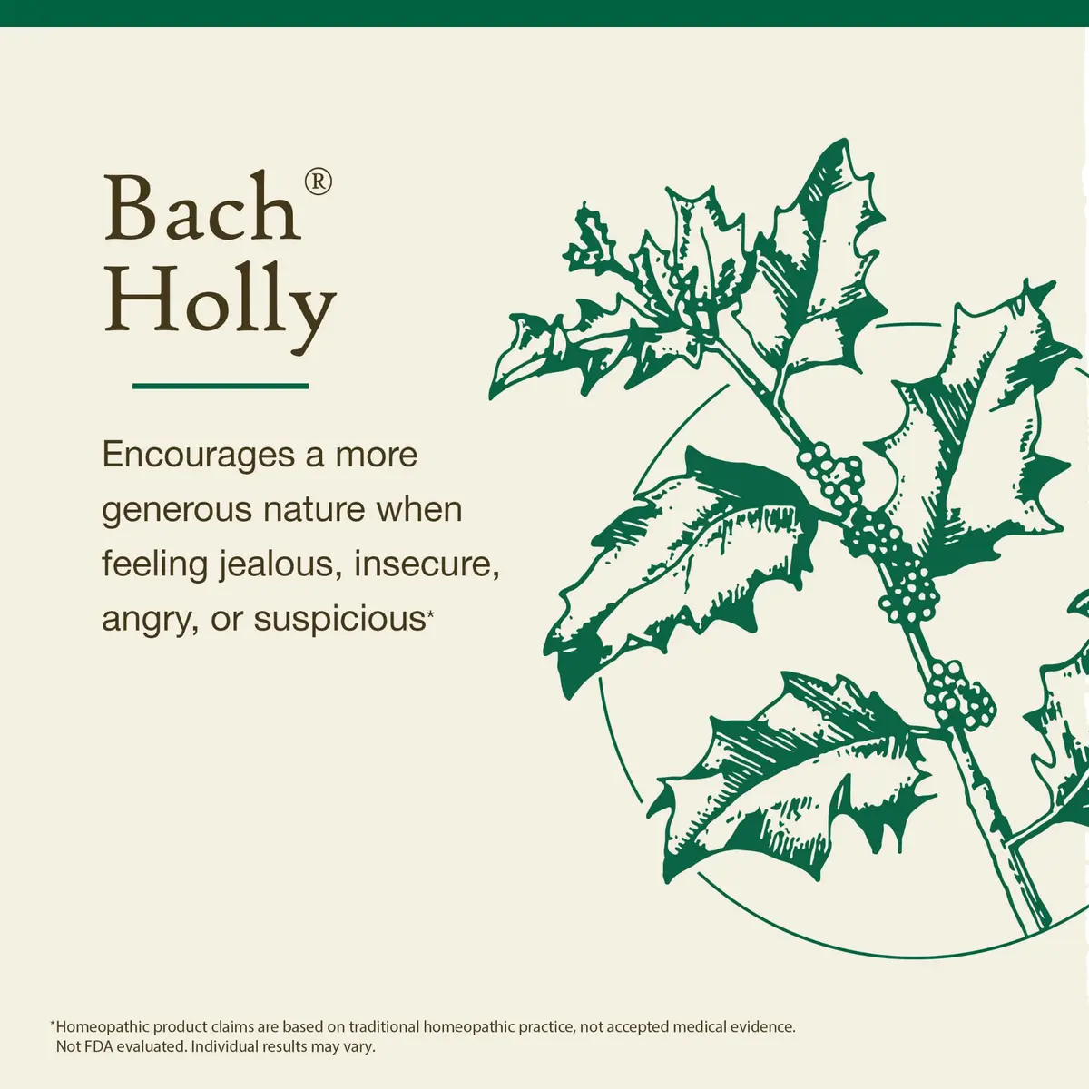 Bach Flower Remedies Holly 20ml | Emotional Balance & Goodwill (120 chars) - view 3