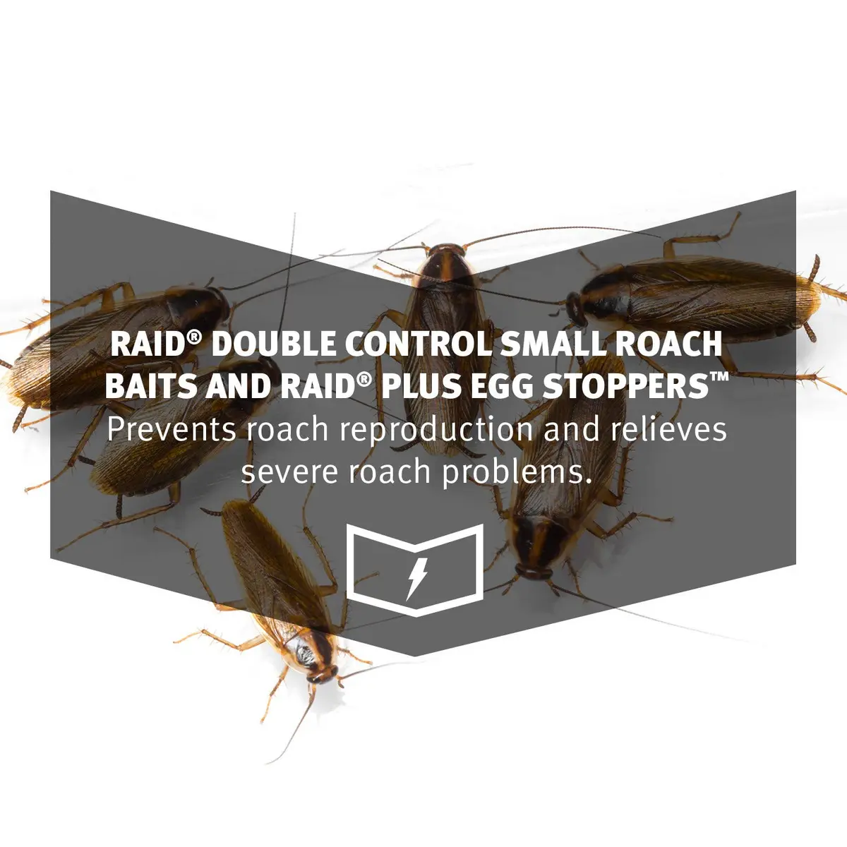 Raid Double Control Small Roach Baits Plus Egg Stopper 12 Count | Effective Roach Relief in India - view 5