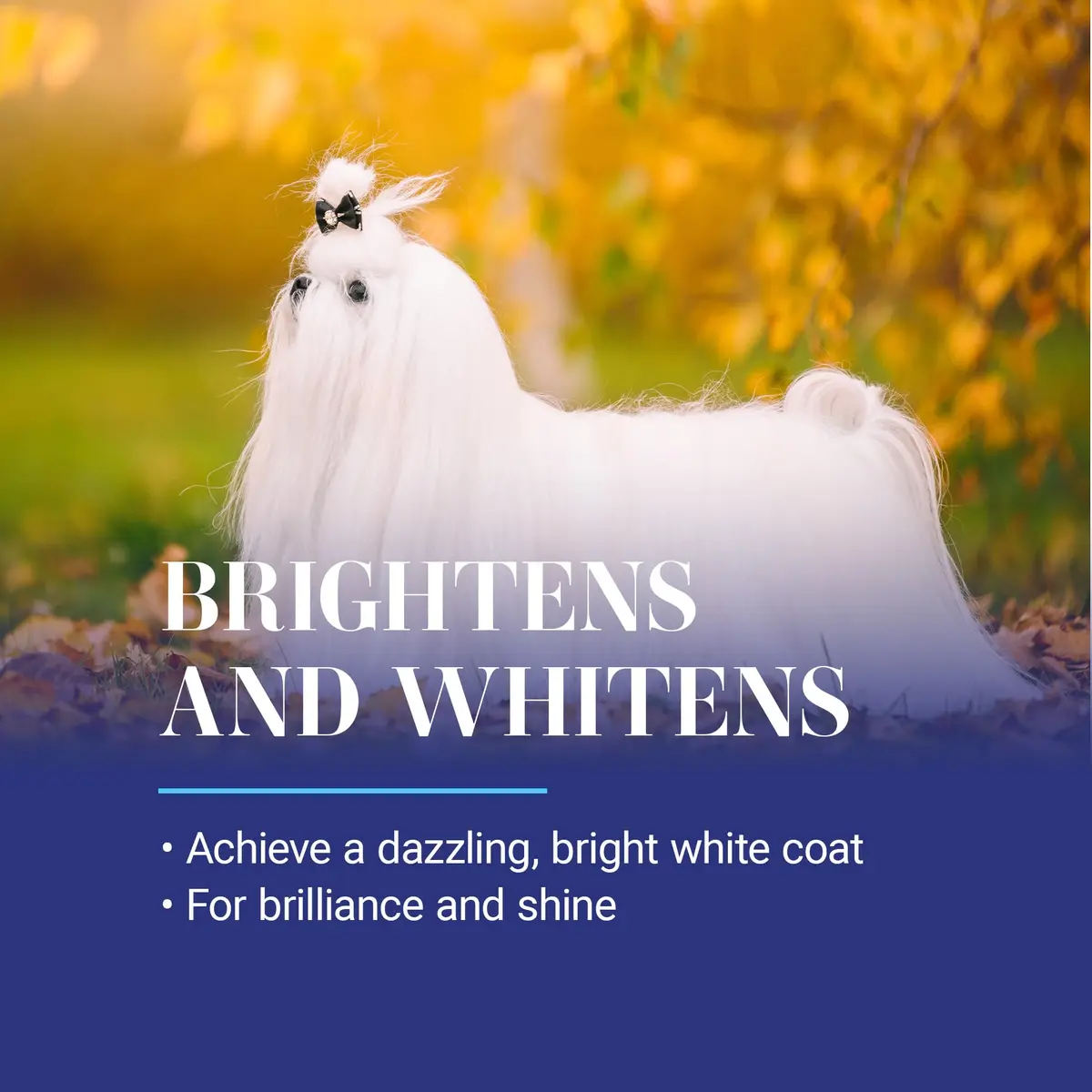 Chris Christensen White on White Whitening Dog Shampoo 473ml (16 fl oz) | Optic Intensifying Treatment for All Coats - view 3
