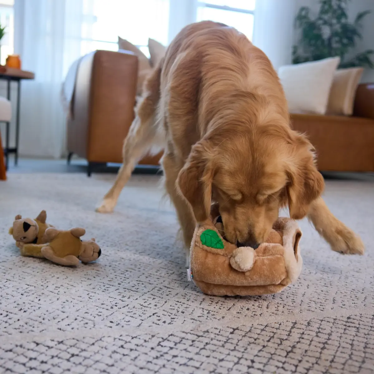 Outward Hound Hide-A-Squirrel Plush Squeaky Dog Toy Large 10.5 x 7.5 inches | Interactive Puzzle for Dogs - view 7