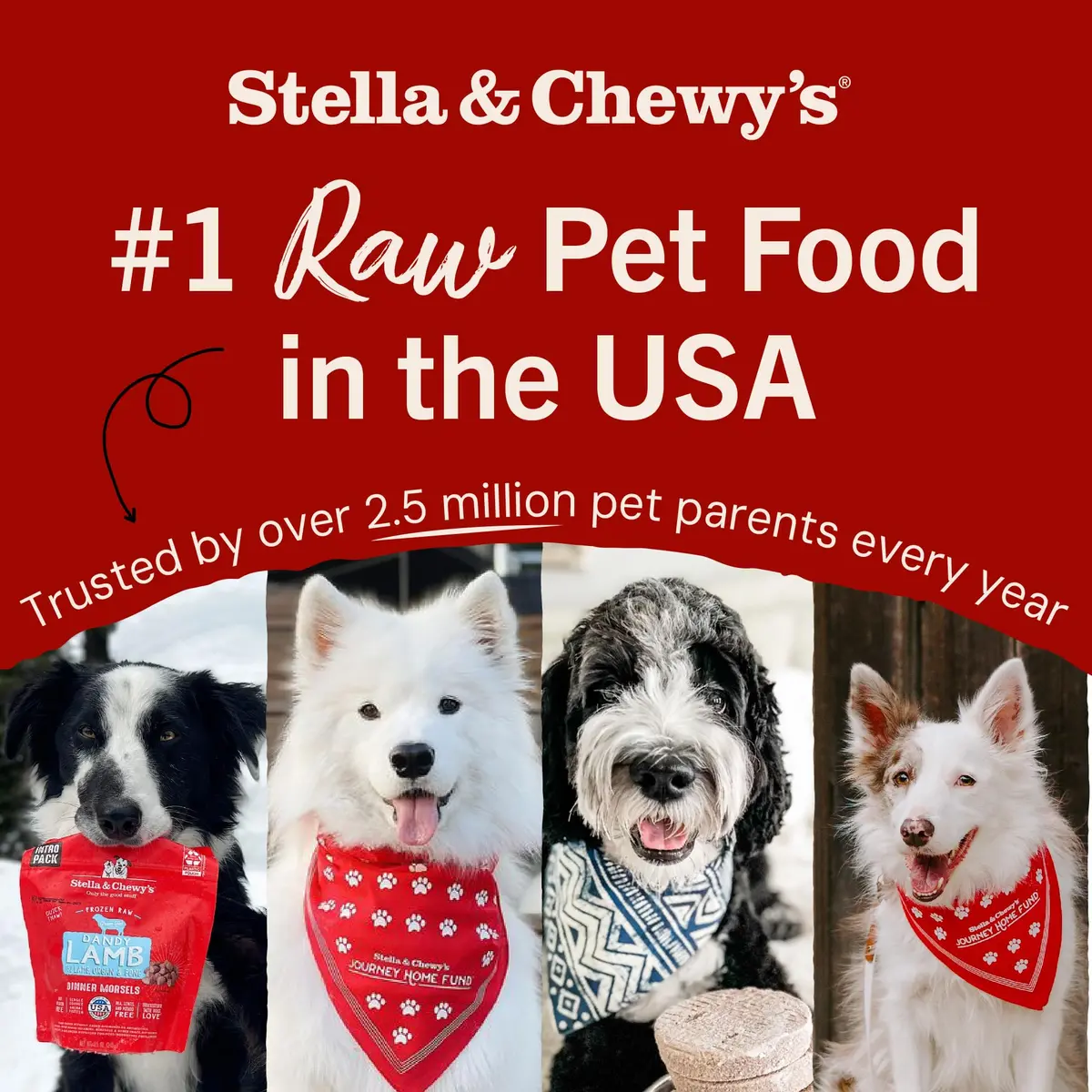 Stella & Chewy's Freeze-Dried Raw Chicken Meal Mixers Dog Food Topper 3.5oz (99g) | Picky Eater Approved - view 7