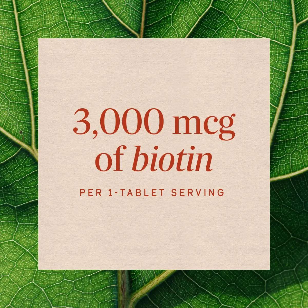 Nature's Way Biotin Forte, Hair, Skin, Nails, 3 mg | Supports Hair & Skin Wellness - view 4