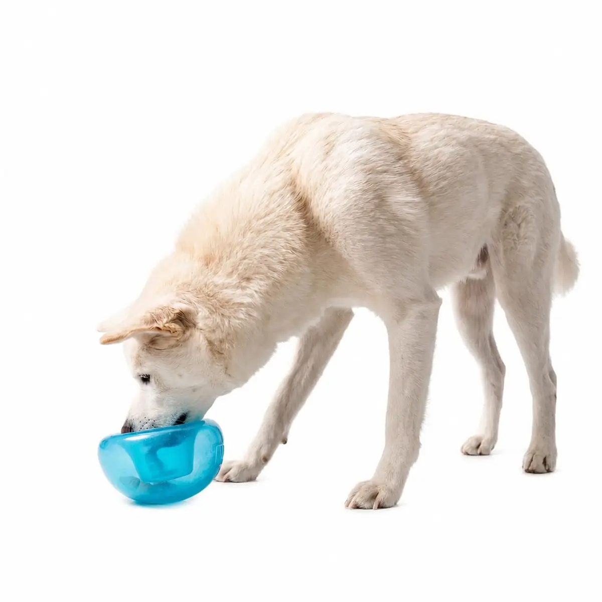 Outward Hound Snoop Interactive Treat Dispenser Dog Toy, Blue, 5" | Mental Stimulation & Slow Feeding - main product image