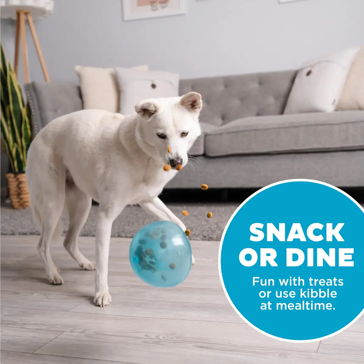 Outward Hound Snoop Interactive Treat Dispenser Dog Toy, Blue, 5" | Mental Stimulation & Slow Feeding - view 7