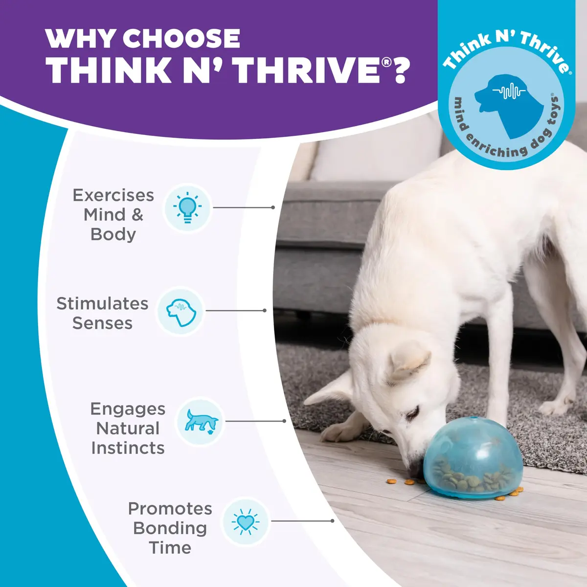 Outward Hound Snoop Interactive Treat Dispenser Dog Toy, Blue, 5" | Mental Stimulation & Slow Feeding - view 8