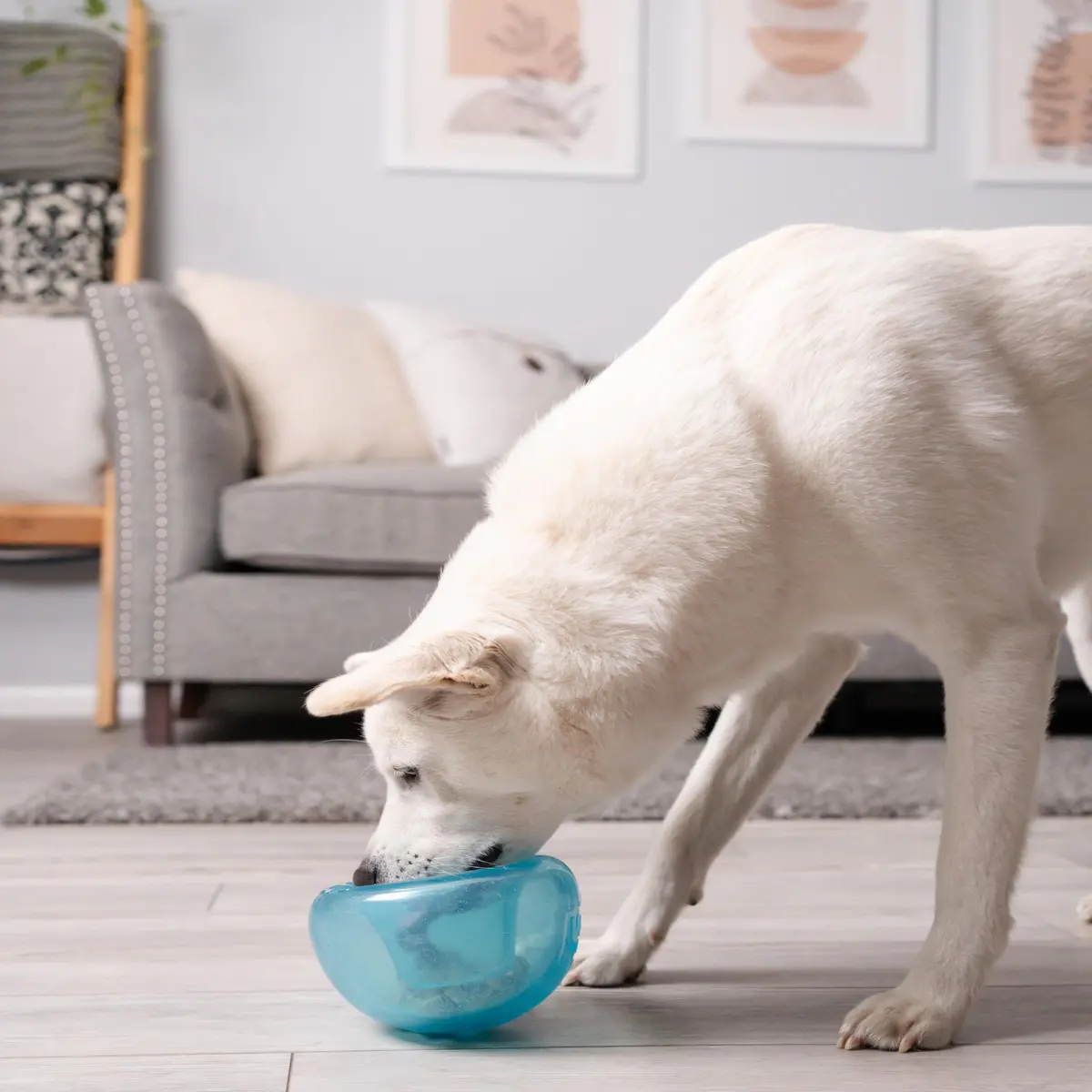 Outward Hound Snoop Interactive Treat Dispenser Dog Toy, Blue, 5" | Mental Stimulation & Slow Feeding - view 9