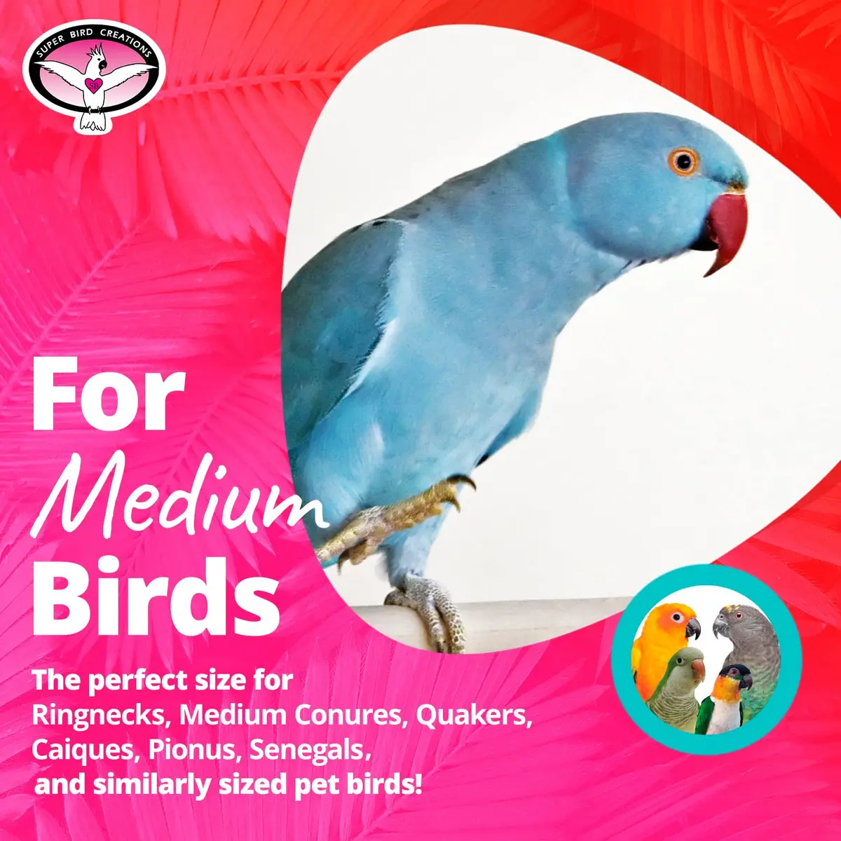 Super Bird Creations Dancing Spools Bird Toy with Cotton Rope for Medium Birds | 33cm (13" L x 8" H x 2" W) - view 3