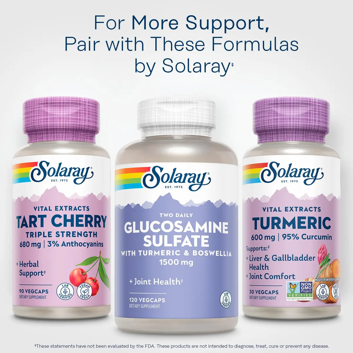 SOLARAY Turmeric Root Extract 600mg | 60 VegCaps (30 CT) | Supports Joints & Liver - view 6