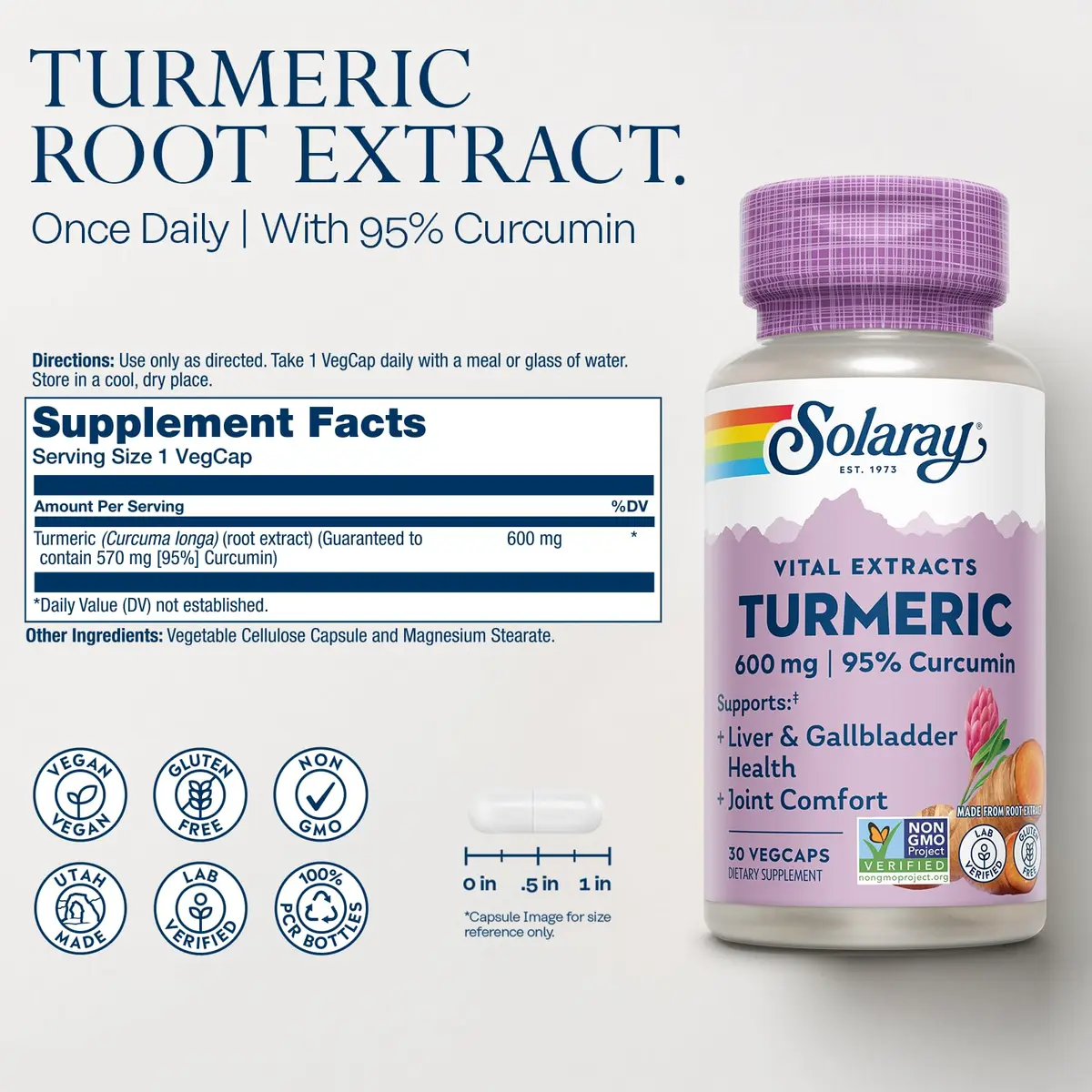 SOLARAY Turmeric Root Extract 600mg | 60 VegCaps (30 CT) | Supports Joints & Liver - view 2
