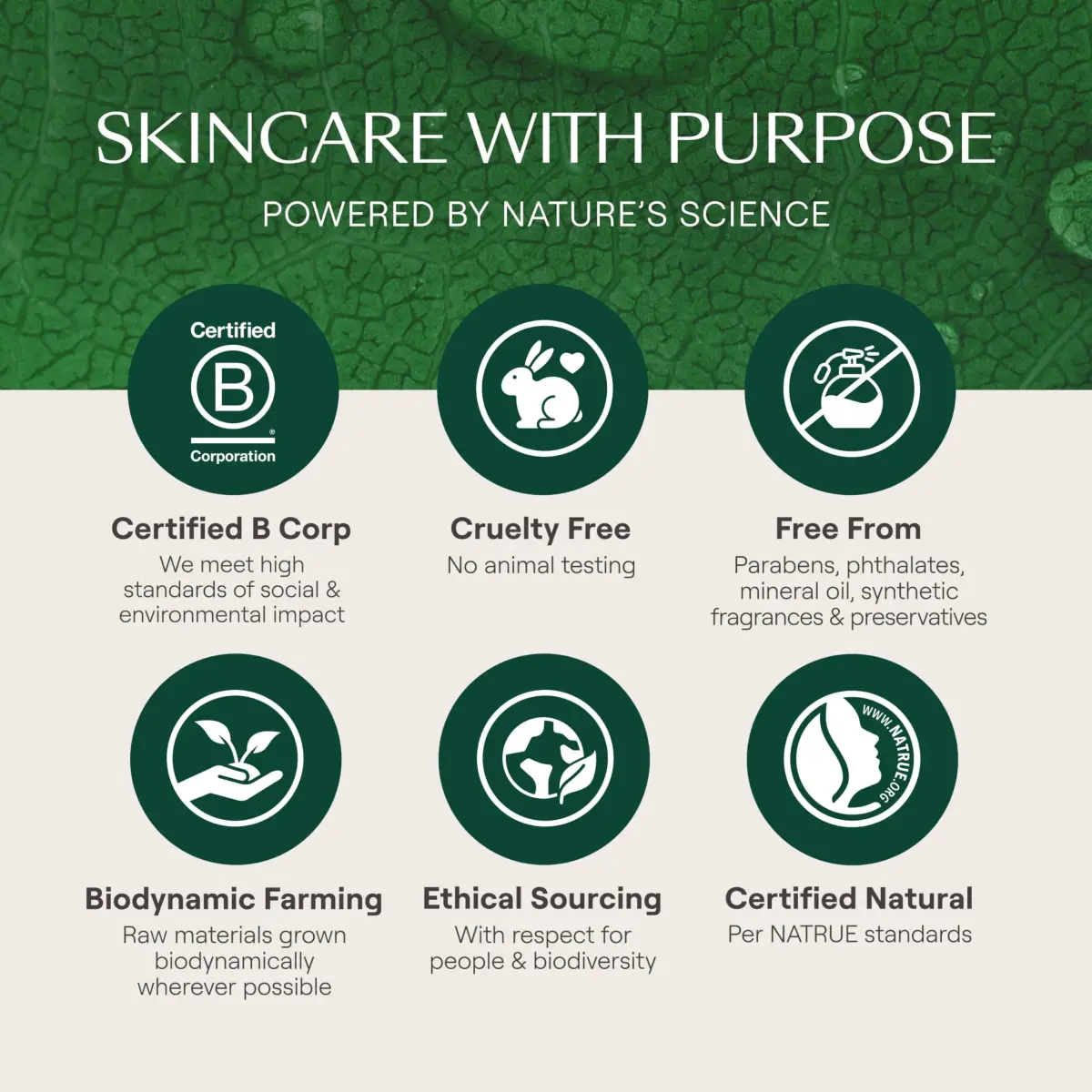 Weleda Skin Food Original Ultra-Rich Body Cream 75ml (2.5 Fl Oz) | NATRUE Certified Natural Hydration - view 8