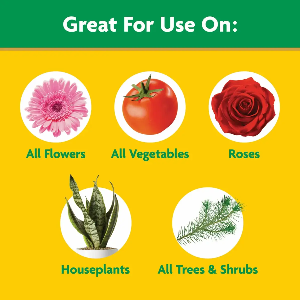 Miracle-Gro Water Soluble All Purpose Plant Food 4.54 kg (10 lb) | Feeds All Plants Instantly - view 5