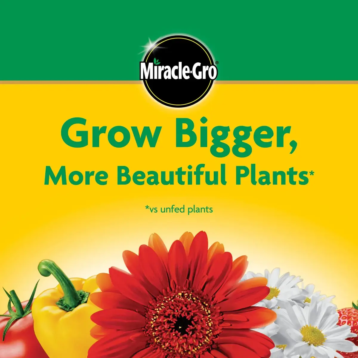 Miracle-Gro Water Soluble All Purpose Plant Food 4.54 kg (10 lb) | Feeds All Plants Instantly - view 8