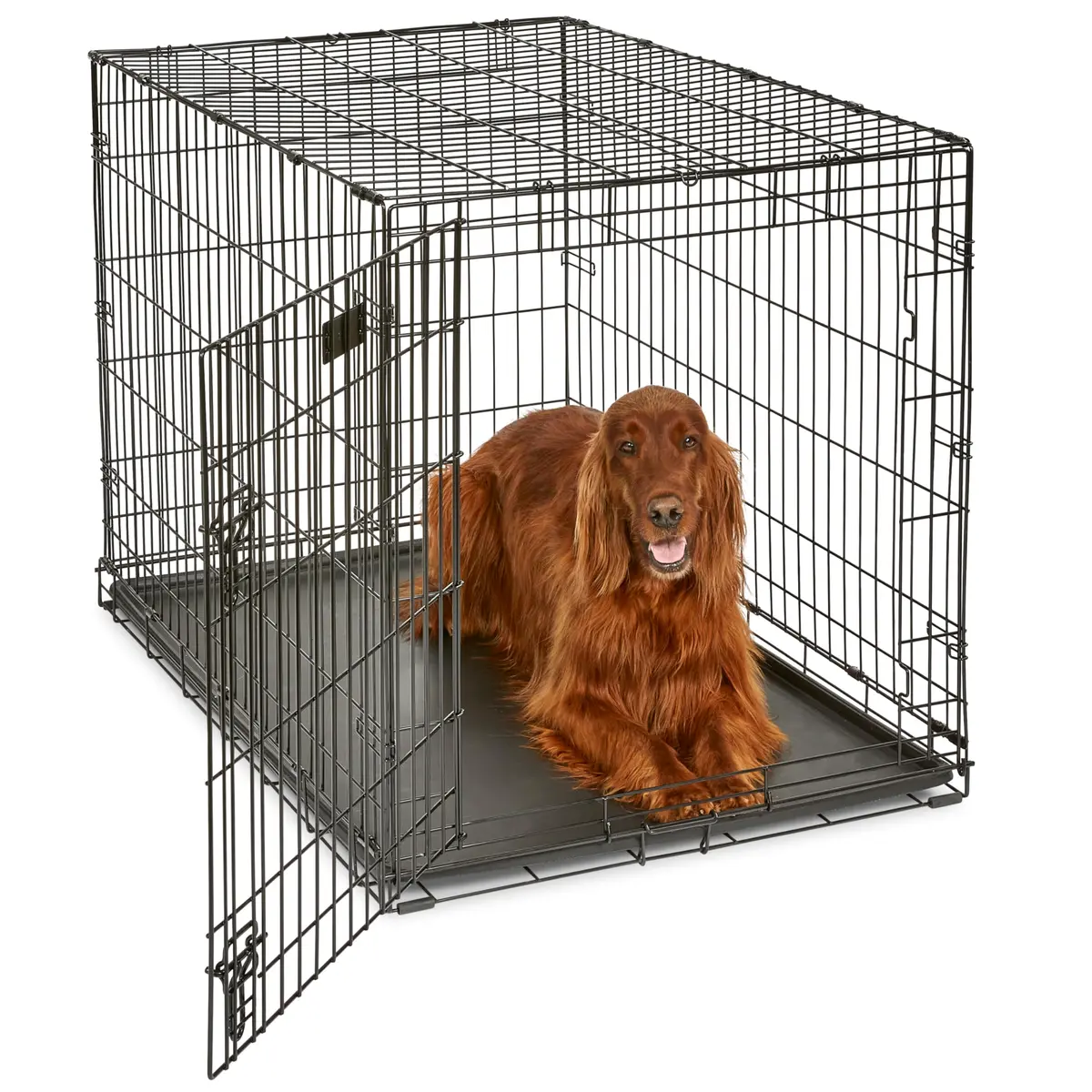 MidWest 42-Inch Single Door iCrate for Large Breeds 71-90 lbs | Durable Metal Wire Dog Crate with Divider & Leak-Proof Tray - main product image
