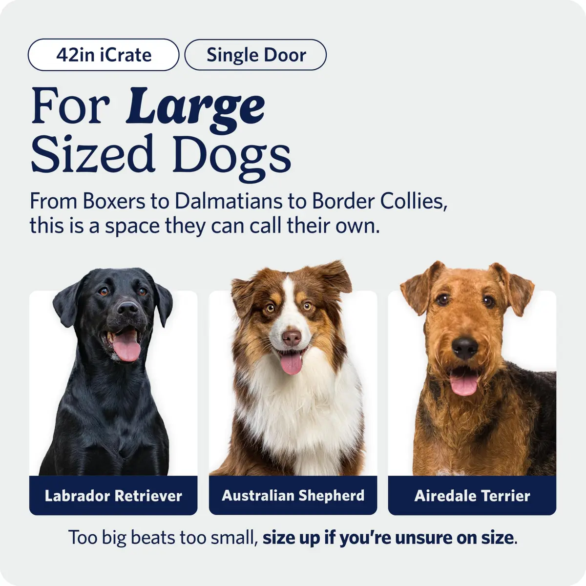 MidWest 42-Inch Single Door iCrate for Large Breeds 71-90 lbs | Durable Metal Wire Dog Crate with Divider & Leak-Proof Tray - view 2