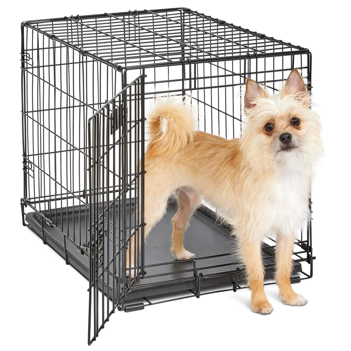MidWest 24-Inch Single Door iCrate for Small Breeds 12-20 lbs | Secure & Foldable - main product image