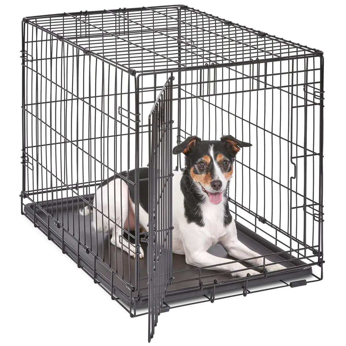 MidWest 30-Inch Single Door iCrate for Medium Breeds 21-40 lbs | Secure, Foldable & Durable - main product image