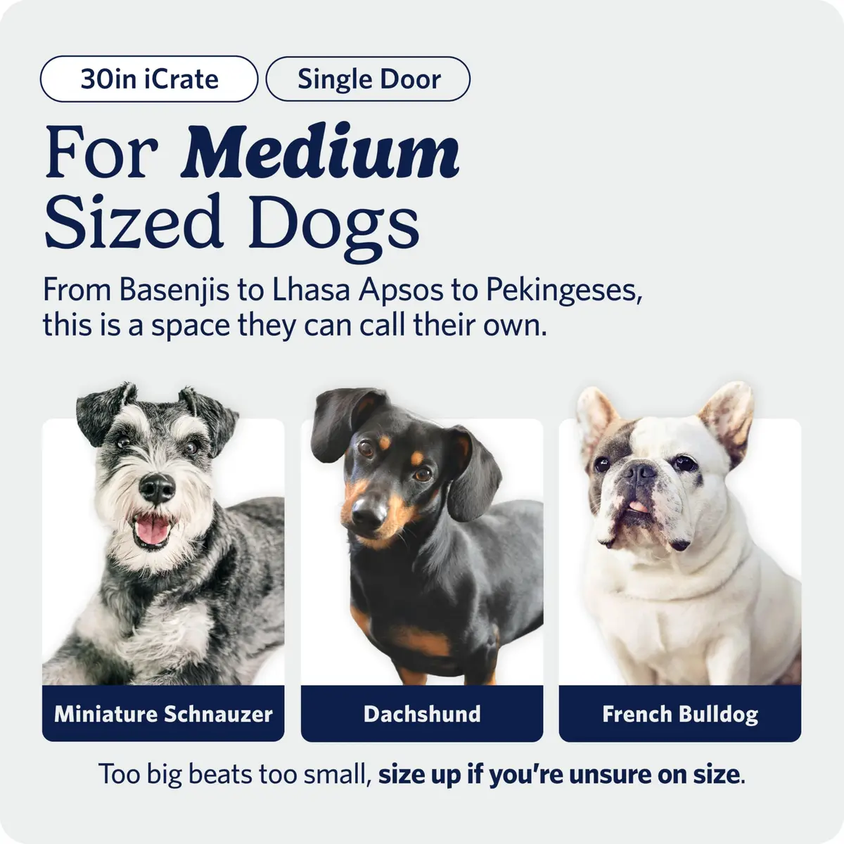 MidWest 30-Inch Single Door iCrate for Medium Breeds 21-40 lbs | Secure, Foldable & Durable - view 2